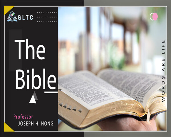 The Bible(En) – Education WP